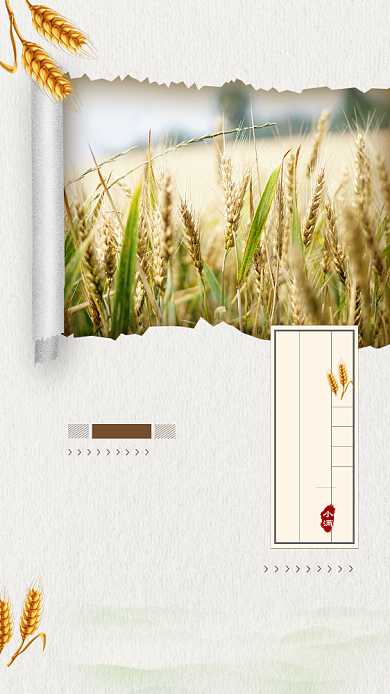 小满二十四节气麦子稻田金黄天空手机海报背景