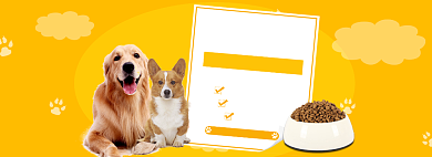 天猫品质健康狗粮优惠活动淘宝banner背景