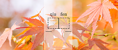 金黄色秋天二十四节气秋分红色枫叶落叶微信公众号素材图片背景