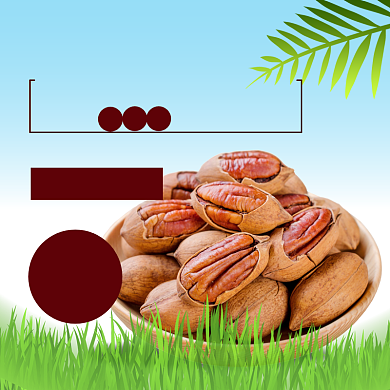 感恩节土特产核桃大促促销清新直通车主图背景