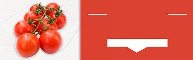 红色水果圣女果小番茄上市促销banner背景