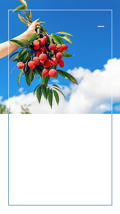 创意七月月签荔枝摄影海报背景