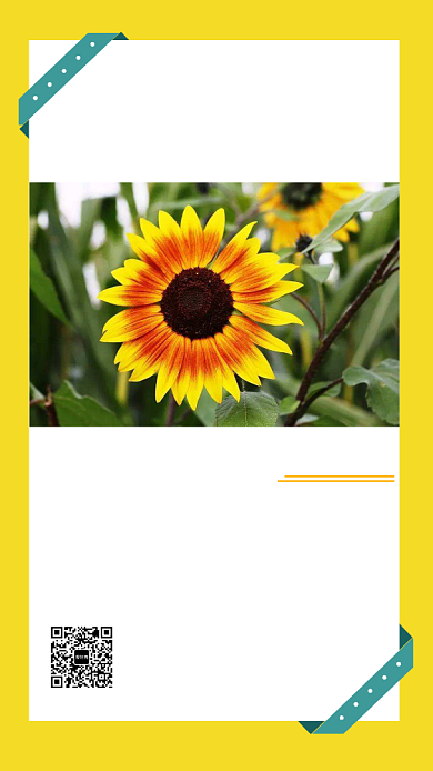 简约插画早安每日一签手机海报背景