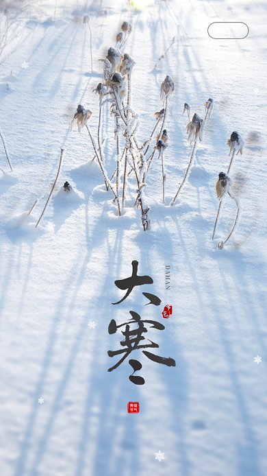 雪地节气大寒启动页海报背景
