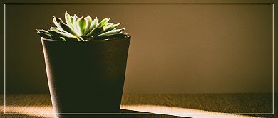 六月你好微信公众号素材图片背景