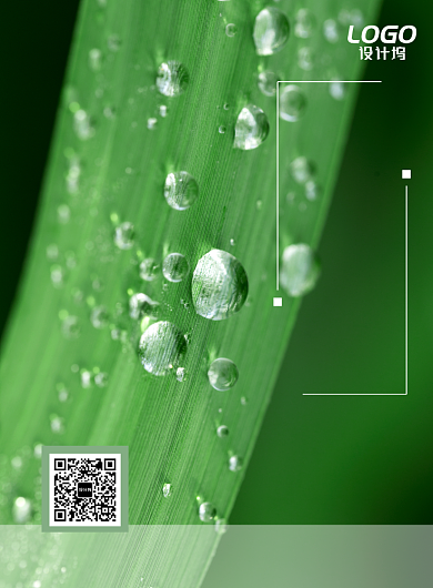 绿色自然白露季节节气海报模板背景