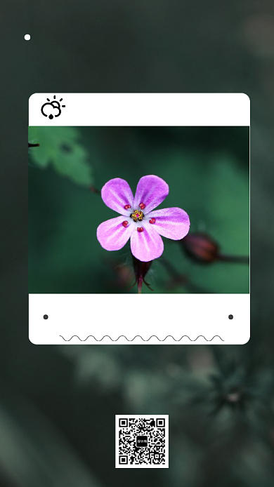 每日心情每日一签手机海报背景