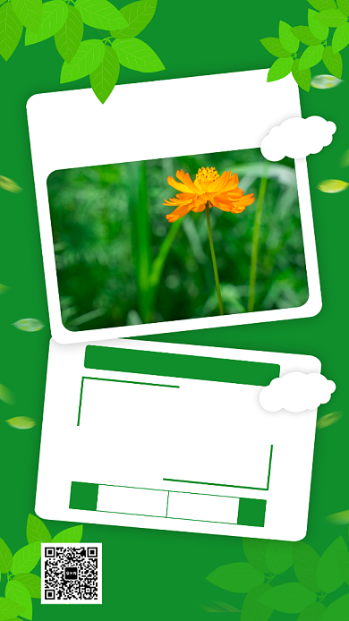 简约绿色清新二月你好日签宣传手机海报背景