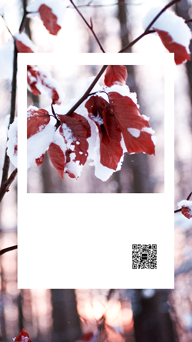 每月一签你好12月手机海报背景