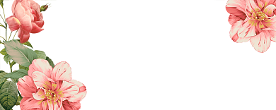 80元代金券背景