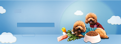 天猫宠物狗粮代金券优惠券换购活动淘宝banner背景