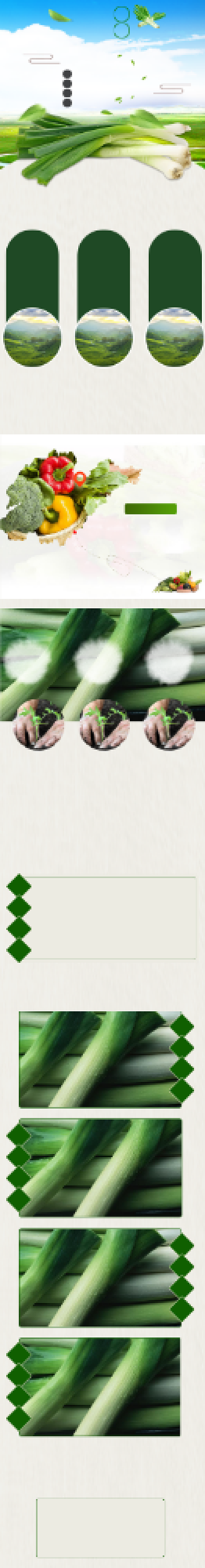 清新风格新鲜大葱详情页背景