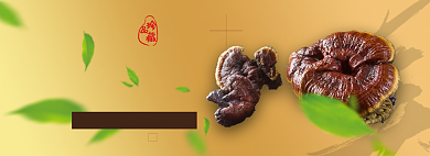 灵芝淘宝电商banner图背景