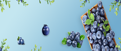 小清新有机蓝莓促销公众号首图背景