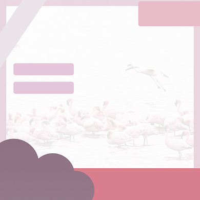    火烈鸟配色促销标签直通车模板背景