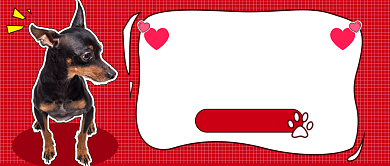 光棍节脱单攻略公众号首图背景