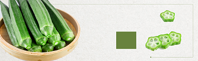 绿色水果蔬菜秋葵促销banner 背景