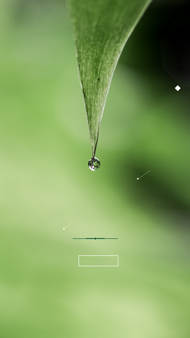 创意绿色小暑节气海报背景