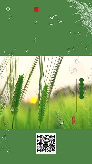 绿色清新传统芒种时节展板海报背景