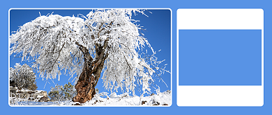 简约霜降节气公众号首图背景