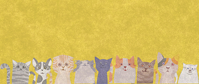 卡通可爱宠物店铺公众号首图背景