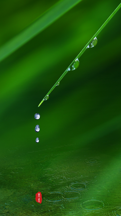 雨水节气手机海报背景