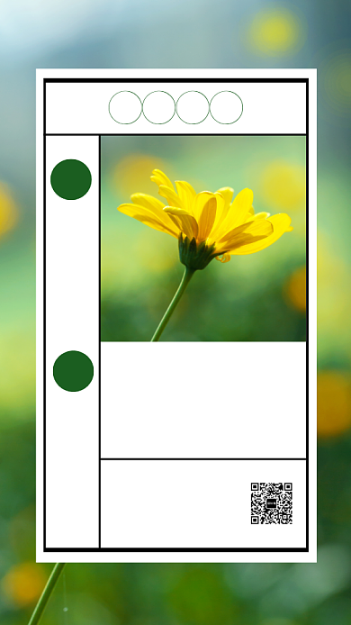 摄影风花卉立春节气日历风手机海报背景