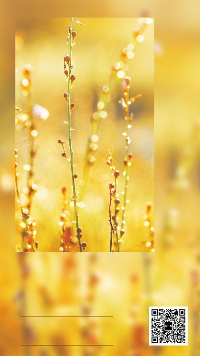 黄色高清日签早安手机海报背景