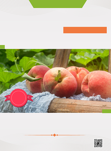 简约清新几何线条水果水蜜桃促销海报背景