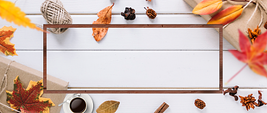 今日秋分公众号首图背景