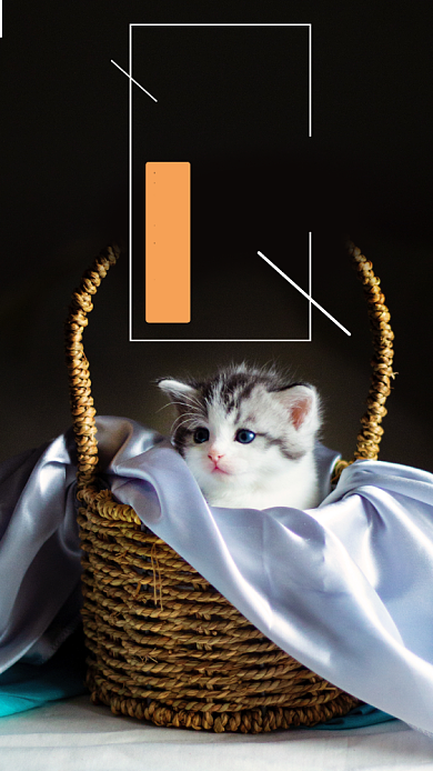 晚安梦想简约猫咪手机宣传海报背景