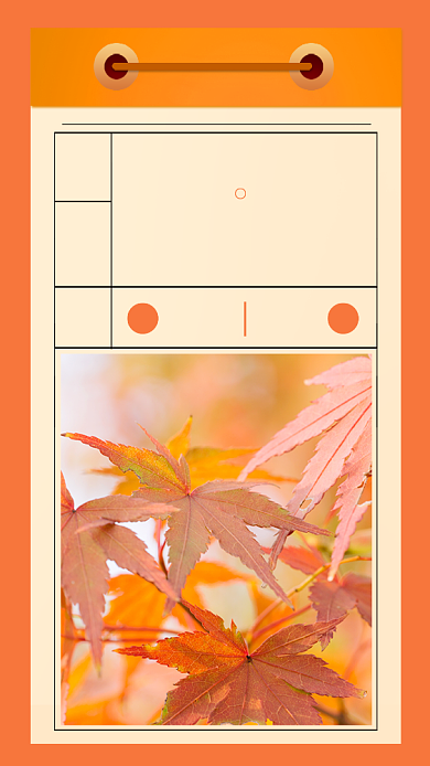 秋分红色枫叶日历黄色创意手机海报背景