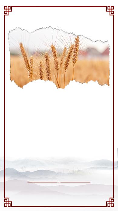 中国传统节气小满海报背景