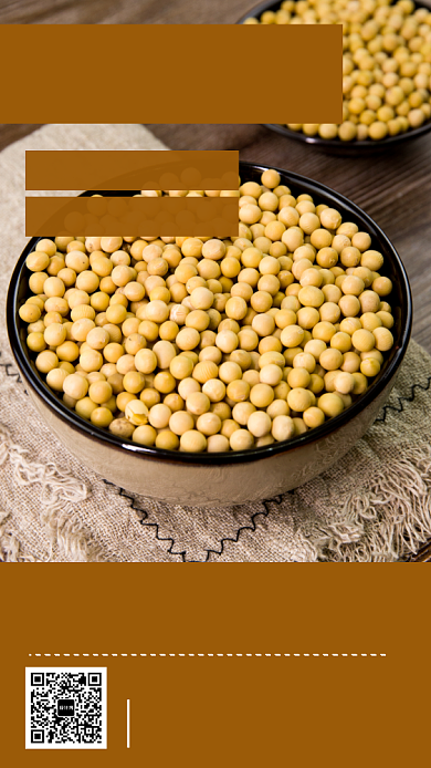 简约大气优质大豆手机海报背景