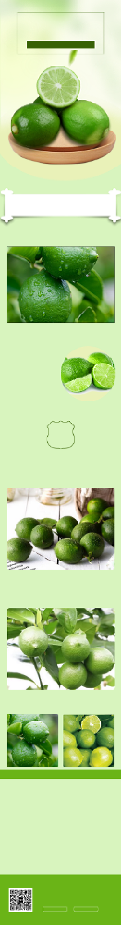 绿色调香水柠檬电商淘宝详情页背景