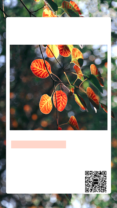 自然树叶情感11月你好日签手机海报背景