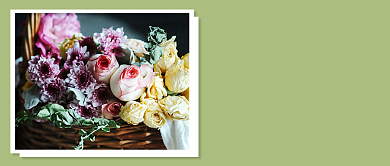 简约小清新十月你好月签公众号首图背景