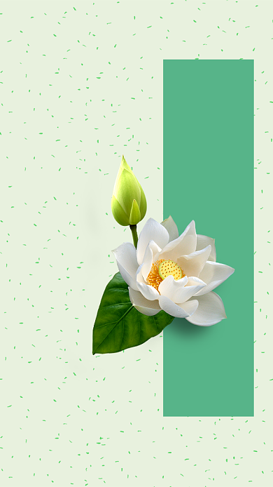立夏节气小清新绿色中国风荷塘美手机海报背景