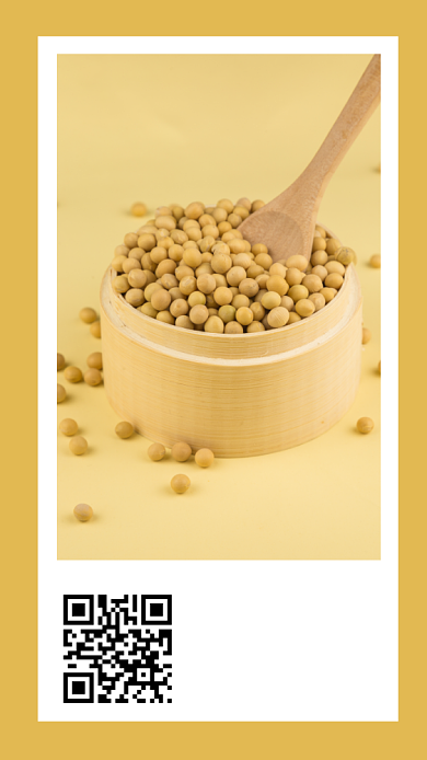 手机日签海报背景