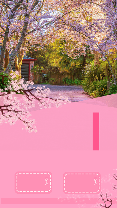 新西兰樱花澳洲旅游手机海报背景