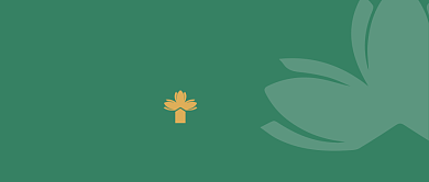 创意纪念澳门回归20周年公众号首图背景