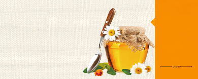 土蜂蜜卡通优惠券69元背景