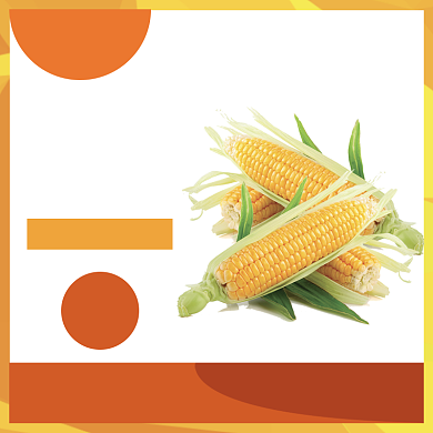 玉米食品淘宝直通车图片背景