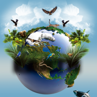 世界地球日摄影简约公众号次图背景