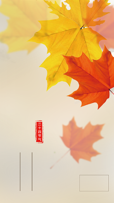 简约枫叶秋分传统节气海报背景