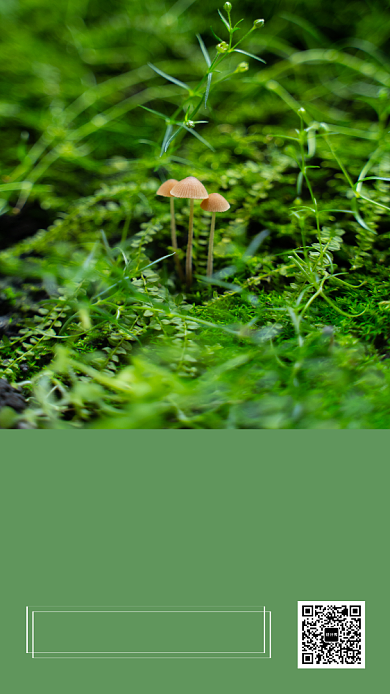 每日一签简约手机海报背景