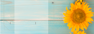 精品酒店折扣专场淘宝banner背景