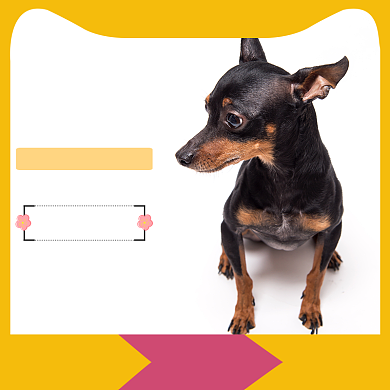 黄色粉色可爱狗粮领券促销直通车背景