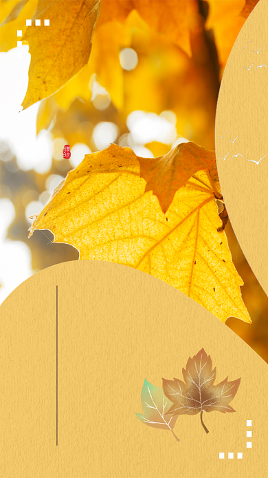 秋季简约清新霜降节气宣传手机海报背景