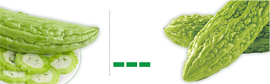 绿色水果蔬菜苦瓜促销banner 背景